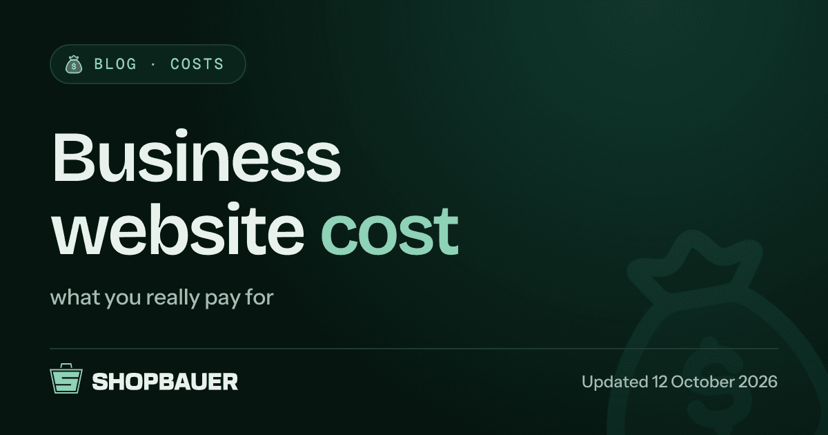 Cover image for the article Business website cost: what you really pay for