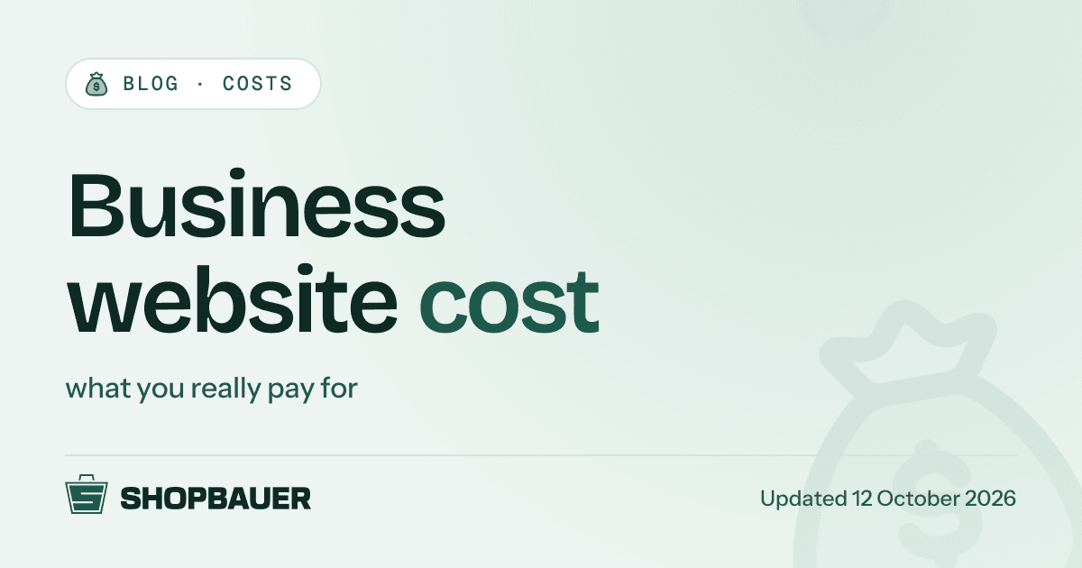 Cover image for the article Business website cost: what you really pay for